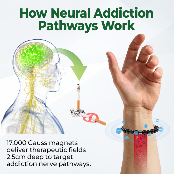Czticle® AntiSmoke Magnetic Bracelet🌿Disrupts Nicotine Cravings Fast in 21 Days